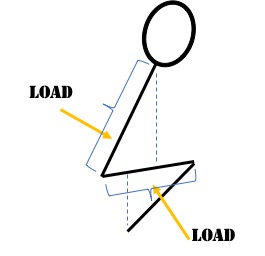 Weight load in traditional squat